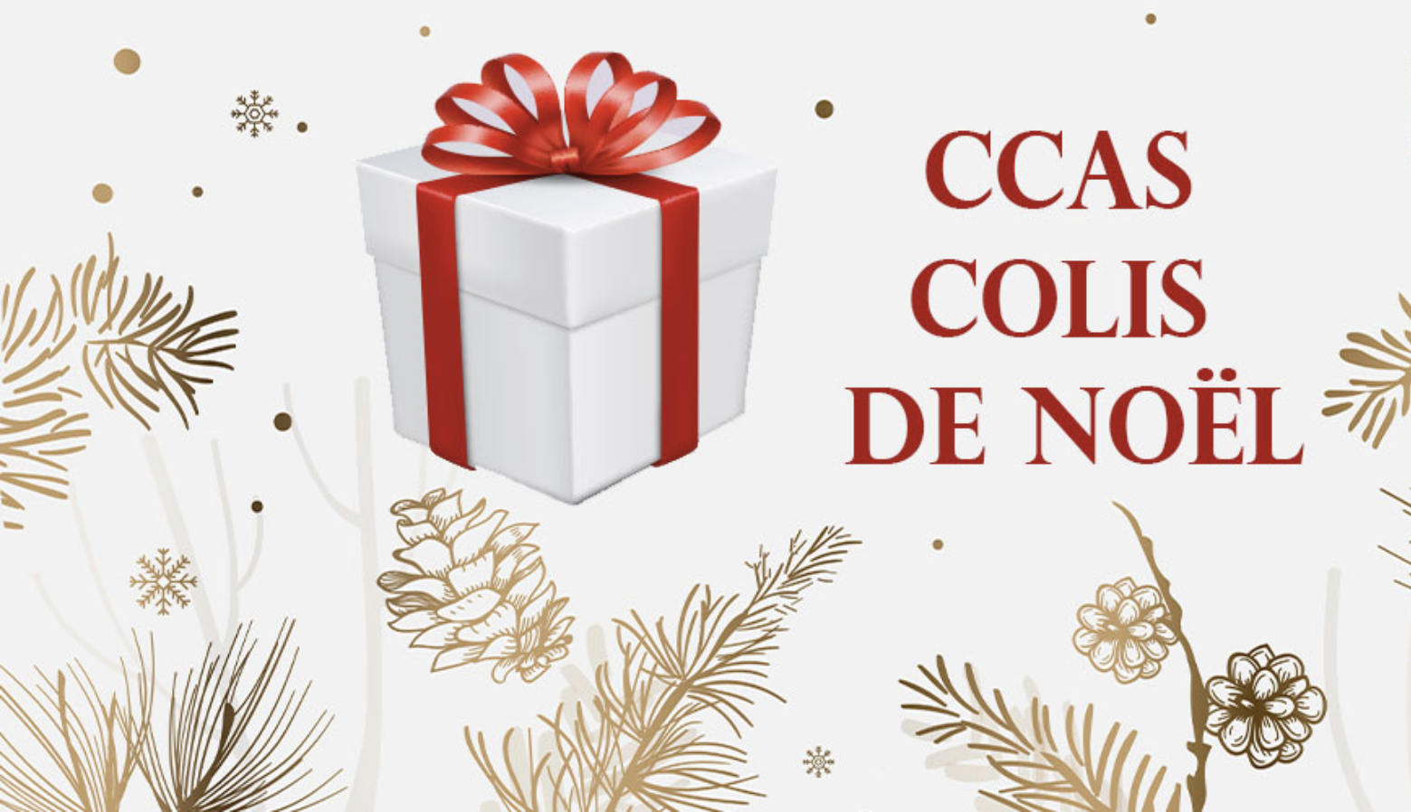 colis de noel ccas v2