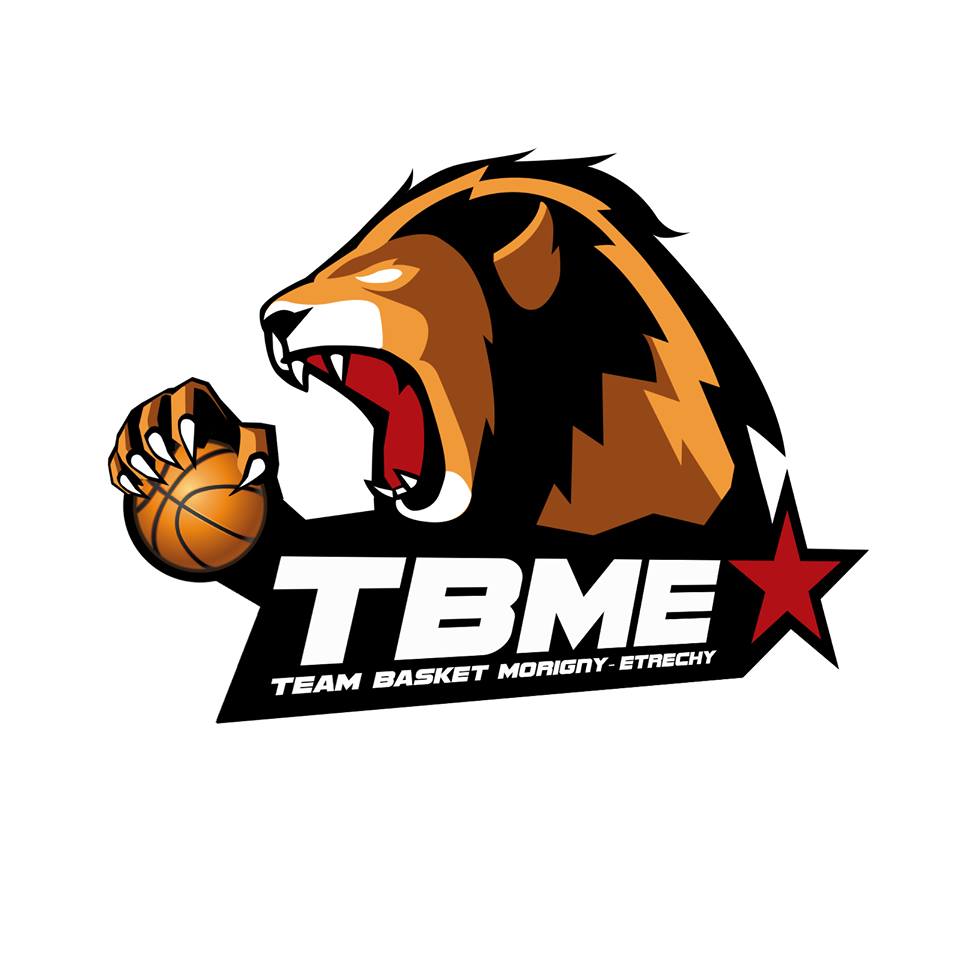Logo Team Lion Blanc 1